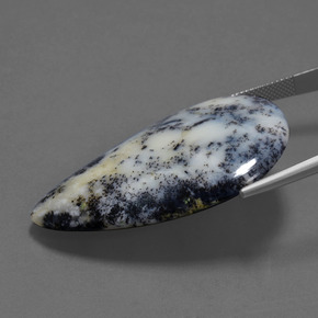 Dendritic Agate Gemstone in 30.5 x 44.2 mm Size for Sale, Dendritic Agate Stone in Multicolor Color