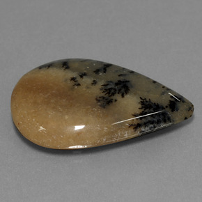 19.92 ct Multicolor Dendritic Agate Stone, Natural Dendritic Agate in Pear Cabochon Shape for Sale