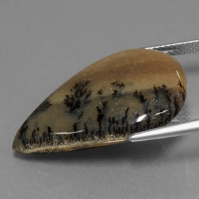 Dendritic Agate Gemstone in 27.3 x 19 mm Size for Sale, Dendritic Agate Stone in Multicolor Color