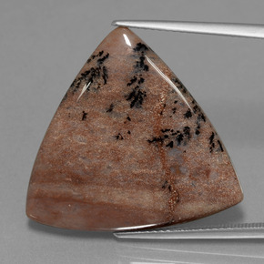 19.37 ct Multicolor Dendritic Agate Gemstone, Dendritic Agate Gem in Trillion Cabochon Shape for Sale.