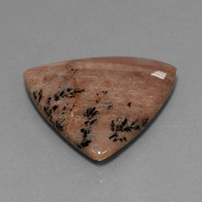 19.37 ct Multicolor Dendritic Agate Stone, Natural Dendritic Agate in Trillion Cabochon Shape for Sale
