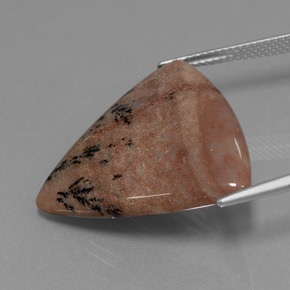 Dendritic Agate Gemstone in 24.7 x 25.3 mm Size for Sale, Dendritic Agate Stone in Multicolor Color