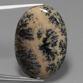 25.50 ct Multicolor Dendritic Agate Gemstone, Dendritic Agate Gem in Oval Cabochon Shape for Sale.