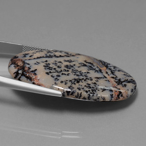 Dendritic Agate Gemstone in 44.3 x 29.4 mm Size for Sale, Dendritic Agate Stone in Multicolor Color
