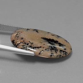 Dendritic Agate Gemstone in 29.3 x 20.3 mm Size for Sale, Dendritic Agate Stone in Multicolor Color