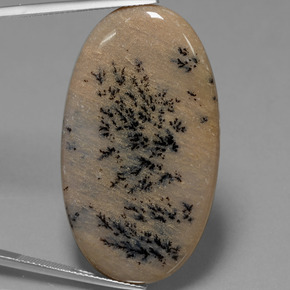 44.4ct Oval Cabochon Multicolor Dendritic Agate for sale thumb image of 44.4ct Oval Cabochon Multicolor Dendritic Agate (ID: 447829)