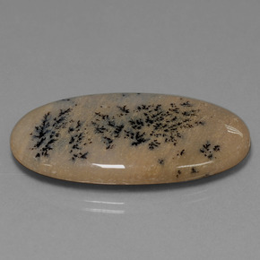 44.37 ct Multicolor Dendritic Agate Stone, Natural Dendritic Agate in Oval Cabochon Shape for Sale