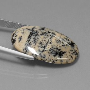 Dendritic Agate Gemstone in 30.7 x 21 mm Size for Sale, Dendritic Agate Stone in Multicolor Color