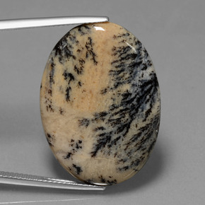 23.90 ct Multicolor Dendritic Agate Gemstone, Dendritic Agate Gem in Oval Cabochon Shape for Sale.