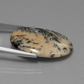 Dendritic Agate Gemstone in 30 x 21.8 mm Size for Sale, Dendritic Agate Stone in Multicolor Color