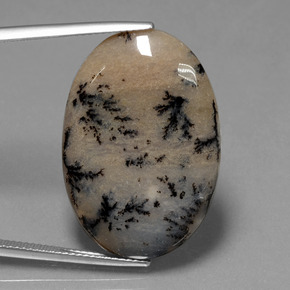 26.1ct Oval Cabochon Multicolor Dendritic Agate for sale thumb image of 26.1ct Oval Cabochon Multicolor Dendritic Agate (ID: 447836)