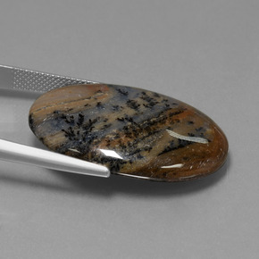 Dendritic Agate Gemstone in 30.8 x 22.6 mm Size for Sale, Dendritic Agate Stone in Multicolor Color