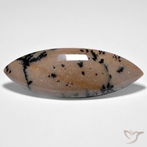 37.71 ct Marquise Dendritic Agate, 50 x 18 mm From India, Photo A