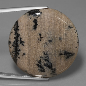 36.6ct Round Cabochon Multicolor Dendritic Agate for sale thumb image of 36.6ct Round Cabochon Multicolor Dendritic Agate (ID: 447935)