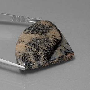 Dendritic Agate Gemstone in 28.3 x 38.2 mm Size for Sale, Dendritic Agate Stone in Multicolor Color