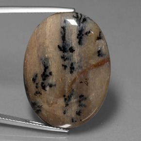 33.6ct Oval Cabochon Multicolor Dendritic Agate for sale thumb image of 33.6ct Oval Cabochon Multicolor Dendritic Agate (ID: 447943)