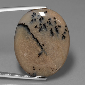 35.9ct Oval Cabochon Multicolor Dendritic Agate for sale thumb image of 35.9ct Oval Cabochon Multicolor Dendritic Agate (ID: 447944)