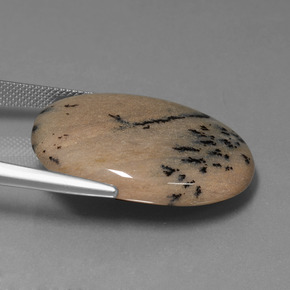 Dendritic Agate Gemstone in 29.8 x 23.7 mm Size for Sale, Dendritic Agate Stone in Multicolor Color