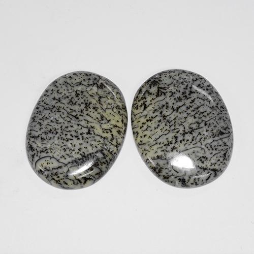 Dendritic Agate Gemstones in 30.1 x 23 mm Size for Sale, Dendritic Agate Stones in Multicolor Color