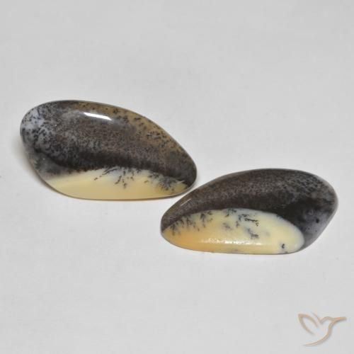 38.04 ctw Brown Dendritic Agate Stones, Natural Dendritic Agate in Fancy Cabochon Shape for Sale