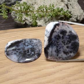 88.4ct Shark Fin Cabochon Multicolor Dendritic Agate for sale thumb image of 88.4ct Shark Fin Cabochon Multicolor Dendritic Agate (ID: 469269)