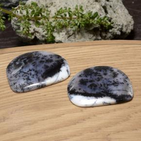 88.35 ctw Multicolor Dendritic Agate Stones, Natural Dendritic Agate in Shark Fin Cabochon Shape for Sale