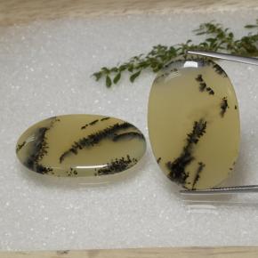 56.9ct Oval Cabochon Multicolor Dendritic Agate for sale thumb image of 56.9ct Oval Cabochon Multicolor Dendritic Agate (ID: 469270)