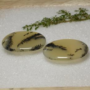 56.92 ctw Multicolor Dendritic Agate Stones, Natural Dendritic Agate in Oval Cabochon Shape for Sale