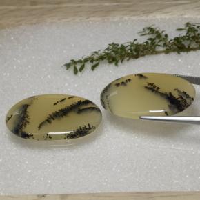 Dendritic Agate Gemstones in 36.5 x 24.6 mm Size for Sale, Dendritic Agate Stones in Multicolor Color