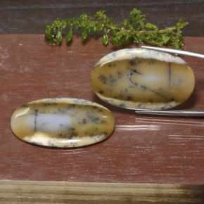 Multicolore Dendritique Agate gemme - 45.4ct Ovale Cabochon (ID: 469271)