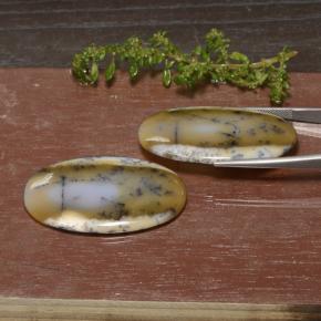 Dendritic Agate Gemstones in 44.9 x 27.6 mm Size for Sale, Dendritic Agate Stones in Multicolor Color