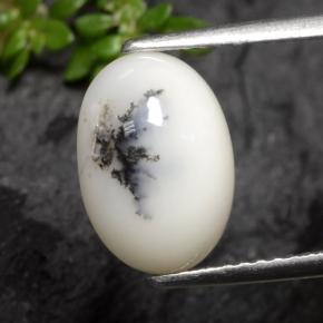 2.70 ct Multicolor Dendritic Agate Gemstone, Dendritic Agate Gem in Oval Cabochon Shape for Sale.