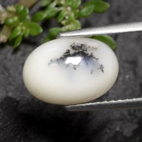 2.70 ct Multicolor Dendritic Agate Stone, Natural Dendritic Agate in Oval Cabochon Shape for Sale