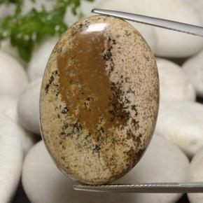 33.2ct Oval Cabochon Multicolor Dendritic Agate for sale thumb image of 33.2ct Oval Cabochon Multicolor Dendritic Agate (ID: 470752)