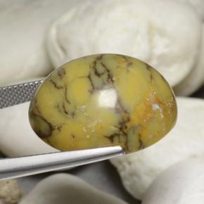 Dendritic Agate Gemstone in 22.6 x 20 mm Size for Sale, Dendritic Agate Stone in Multicolor Color
