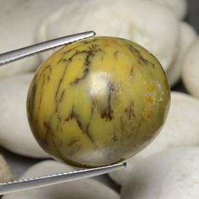 35.24 ct Multicolor Dendritic Agate Stone, Natural Dendritic Agate in Oval Cabochon Shape for Sale