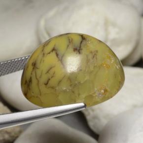 Dendritic Agate Gemstone in 23.5 x 20.7 mm Size for Sale, Dendritic Agate Stone in Multicolor Color