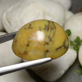 Dendritic Agate Gemstone in 22.3 x 17.6 mm Size for Sale, Dendritic Agate Stone in Multicolor Color