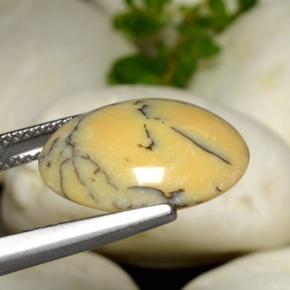 Dendritic Agate Gemstone in 15.6 x 13.3 mm Size for Sale, Dendritic Agate Stone in Multicolor Color