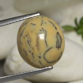 6.05 ct Multicolor Dendritic Agate Gemstone, Dendritic Agate Gem in Oval Cabochon Shape for Sale.