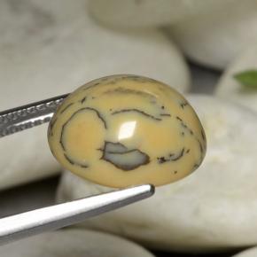 Dendritic Agate Gemstone in 13.5 x 12.3 mm Size for Sale, Dendritic Agate Stone in Multicolor Color