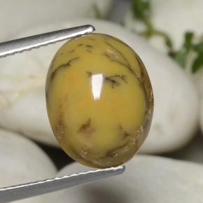 5.40 ct Multicolor Dendritic Agate Gemstone, Dendritic Agate Gem in Oval Cabochon Shape for Sale.