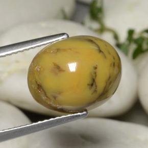 5.40 ct Multicolor Dendritic Agate Stone, Natural Dendritic Agate in Oval Cabochon Shape for Sale