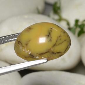 Dendritic Agate Gemstone in 13.4 x 10.7 mm Size for Sale, Dendritic Agate Stone in Multicolor Color