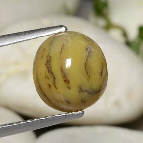 2.63 ct Multicolor Dendritic Agate Gemstone, Dendritic Agate Gem in Oval Cabochon Shape for Sale.