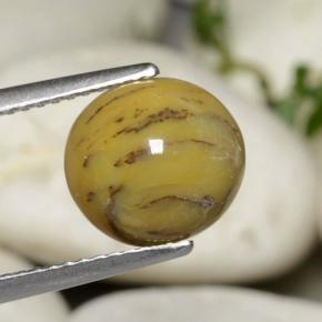 2.63 ct Multicolor Dendritic Agate Stone, Natural Dendritic Agate in Oval Cabochon Shape for Sale