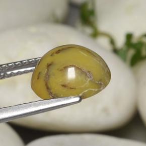 Dendritic Agate Gemstone in 9.9 x 9.1 mm Size for Sale, Dendritic Agate Stone in Multicolor Color