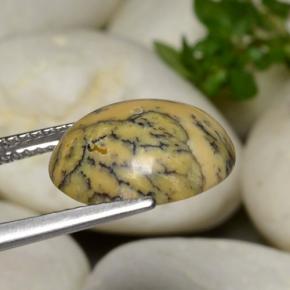 Dendritic Agate Gemstone in 12.9 x 10.8 mm Size for Sale, Dendritic Agate Stone in Multicolor Color