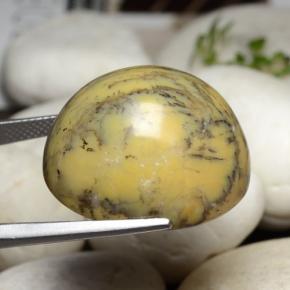 Dendritic Agate Gemstone in 24.2 x 21.8 mm Size for Sale, Dendritic Agate Stone in Multicolor Color