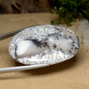 Dendritic Agate Gemstone in 49.9 x 36.3 mm Size for Sale, Dendritic Agate Stone in Multicolor Color